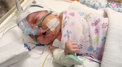 Picture of (CAMPAIGN CLOSED) BENEFICIARY PROFILE 1715 WONG SHI TING