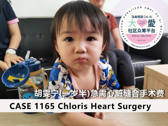 Picture of (CAMPAIGN CLOSED) BENEFICIARY PROFILE 1165  CHLORIS O WEN NING