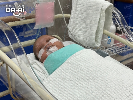 Picture of (CAMPAIGN CLOSED) BENEFICIARY PROFILE2040 BABY OF WAHYU PUTRI NINGSIH